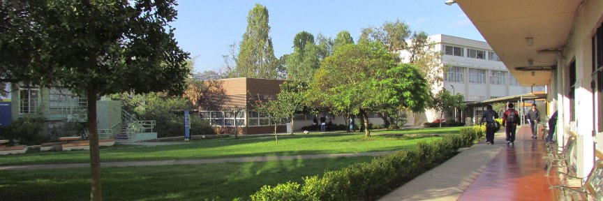 Instituto de Literatura y Ciencias del Lenguaje banner