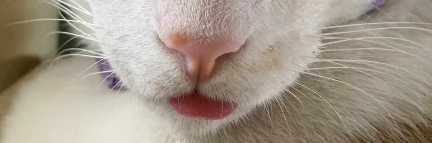 hernandocath's profile banner image