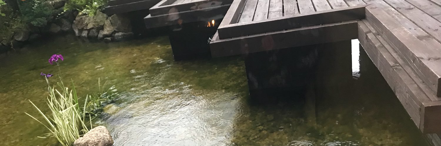 regentoforigin's profile banner image