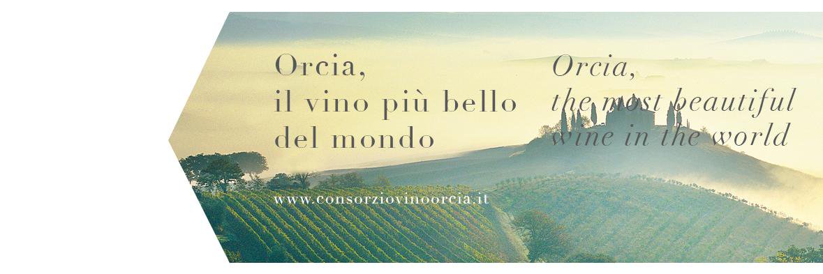 orciadoc's profile banner image