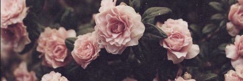 izzy_johnstone's profile banner image