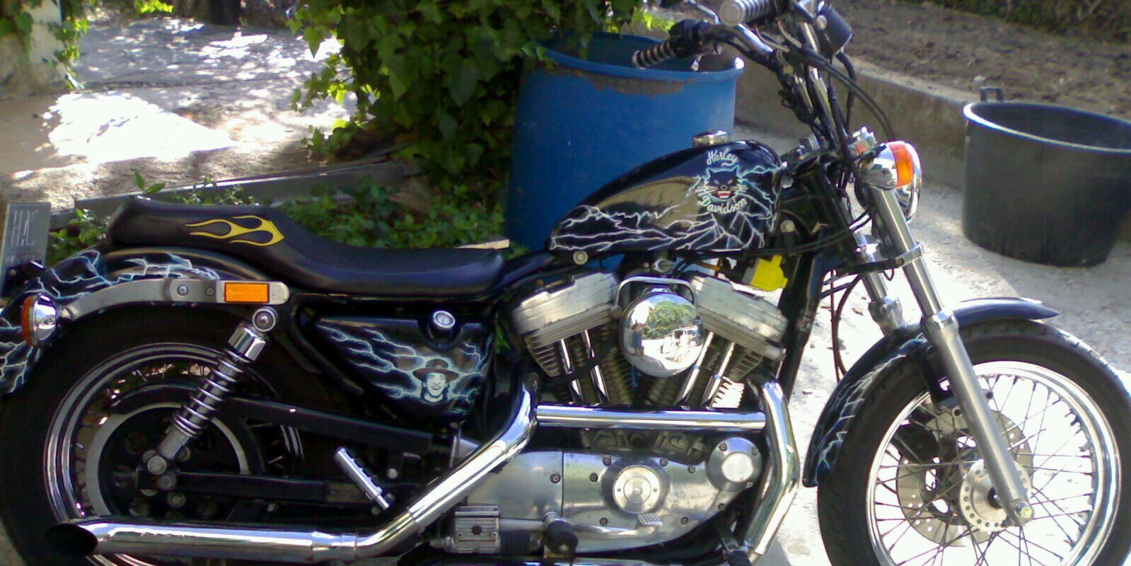 Toni Rodriguez banner