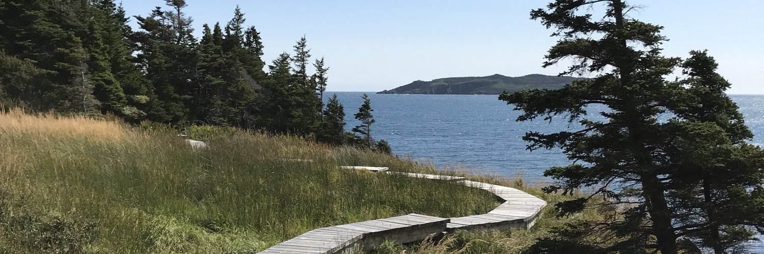 jencurlysmith's profile banner image