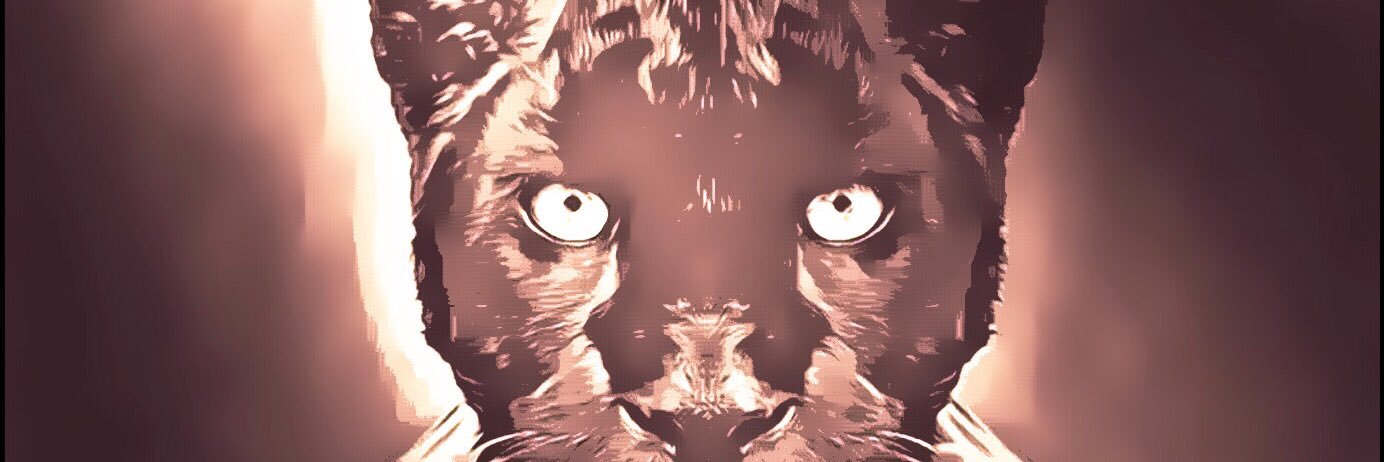 dedathaheata's profile banner image