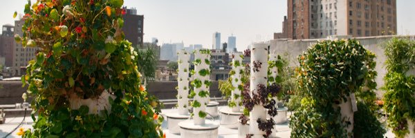 _bbcnyc's profile banner image