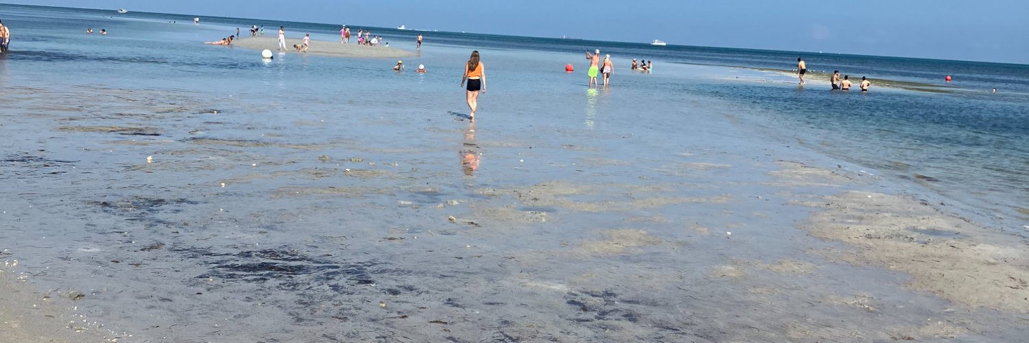 Lisa J. Huriash banner