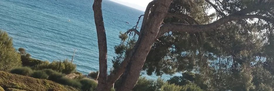xaloc60's profile banner image
