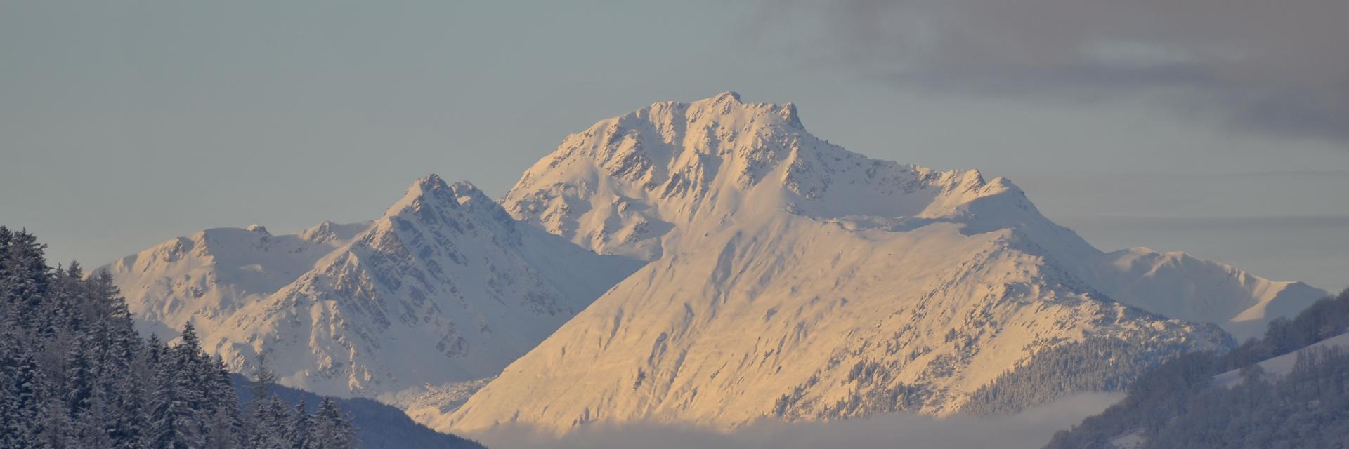 Environment Europe Foundation banner