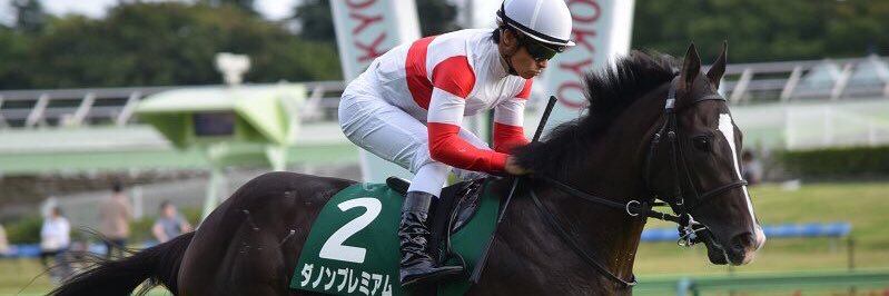 ryo08200's profile banner image
