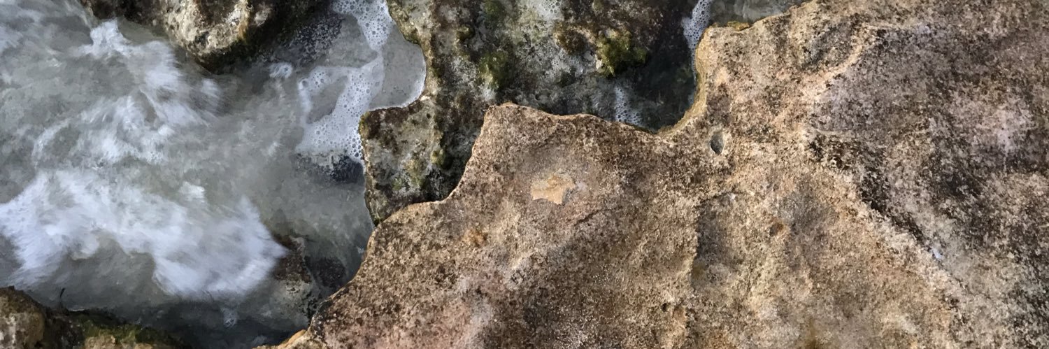 cynthiaffr's profile banner image