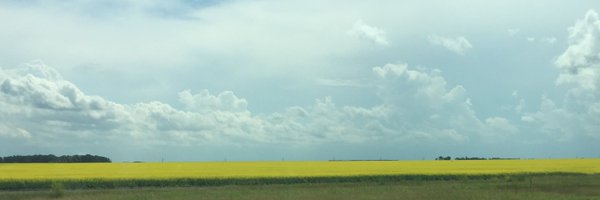 LAfromAB Profile Banner