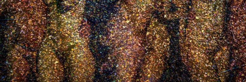 jwhimages's profile banner image