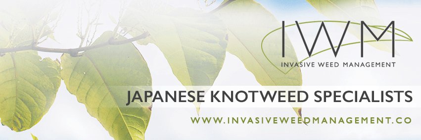 InvasiveWM's profile banner image