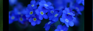 luvlaughlive's profile banner image