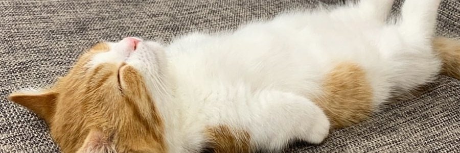 jack71825's profile banner image