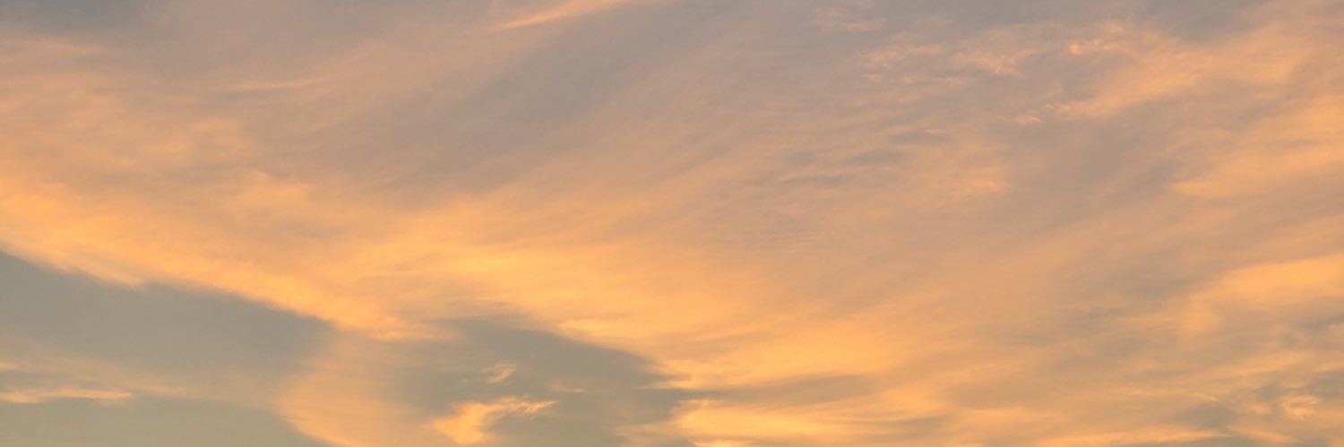 livfinlay's profile banner image