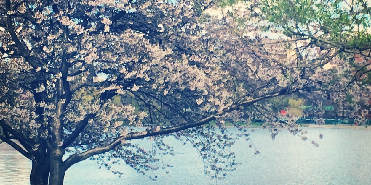 KRileyy's profile banner image