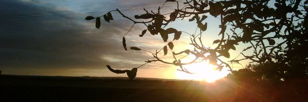 Infosecjen Profile Banner