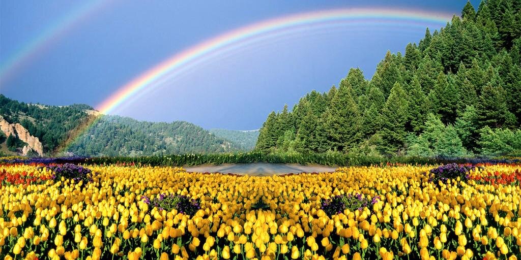 saliseakin's profile banner image