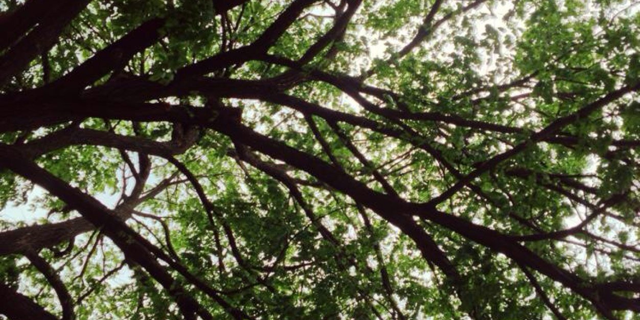 ellehughey's profile banner image