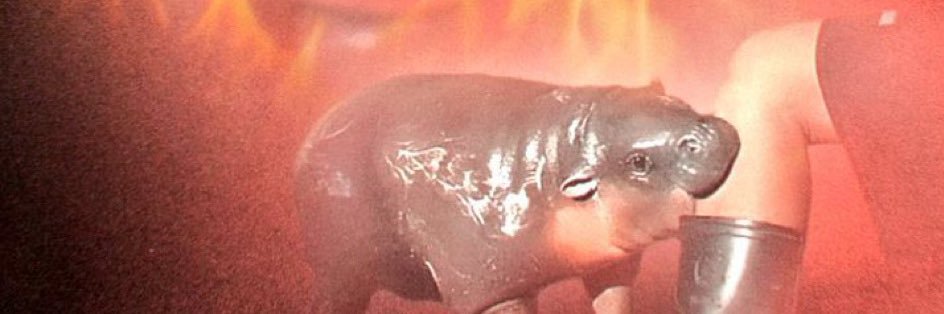 prayingmant1ts's profile banner image