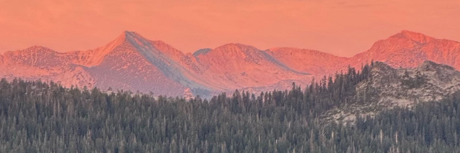 dbraehm's profile banner image
