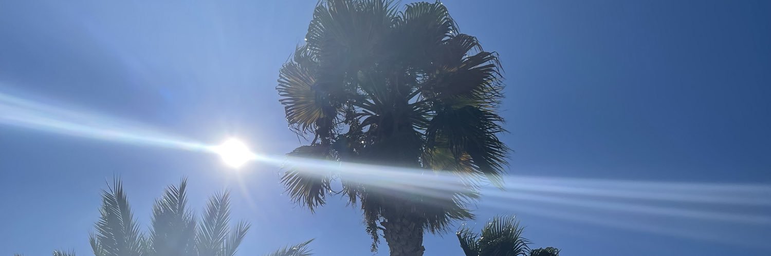 NallenPatrick's profile banner image