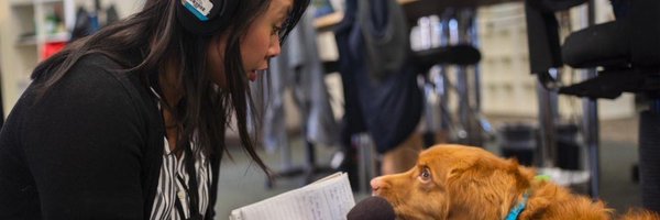 n_yang Profile Banner