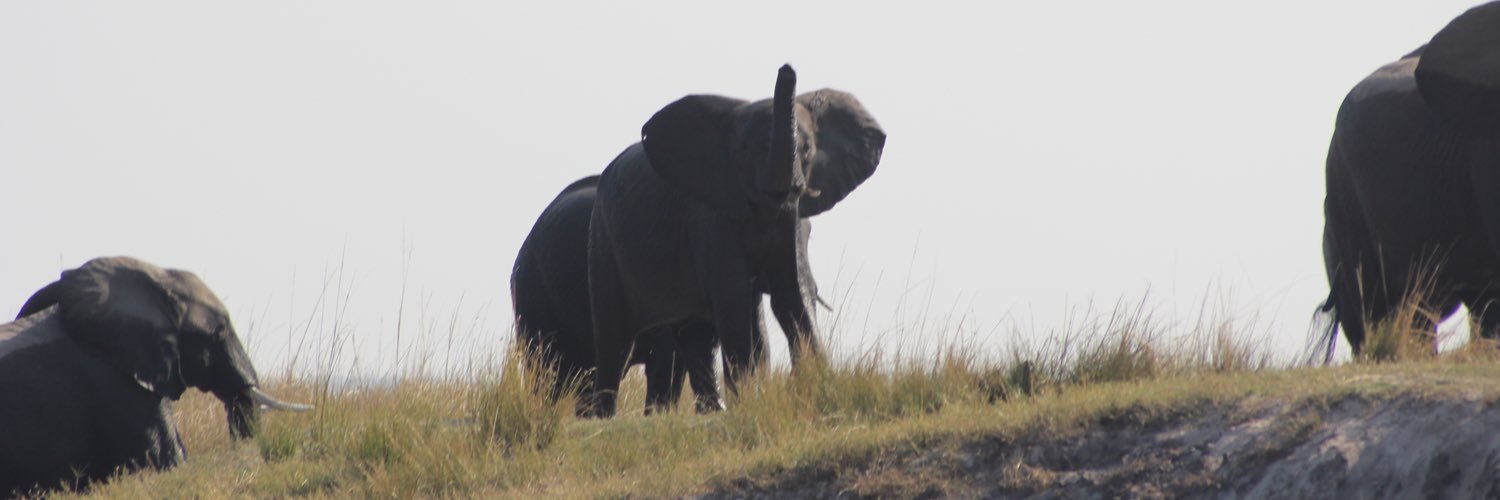 Katherine Anne banner