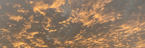 ZackShickel41 Profile Banner