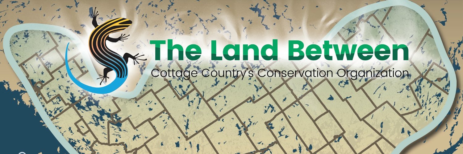 The Land Between banner