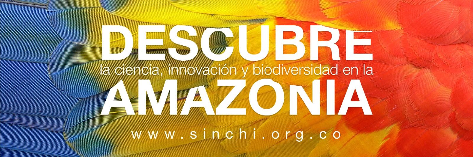 Instituto SINCHI 🇨🇴's banner