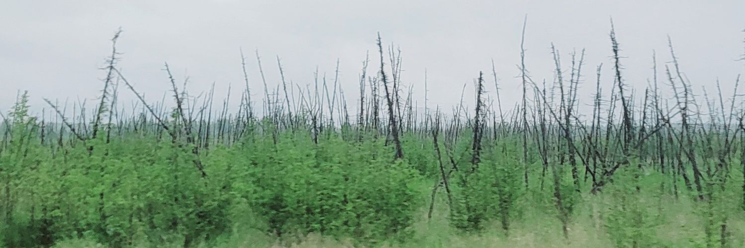 FbiSkmo's profile banner image