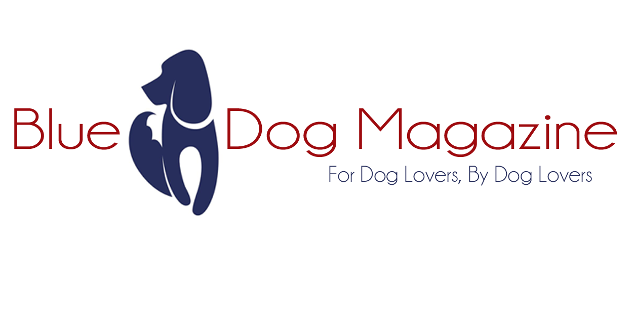 BlueDogMagazine's profile banner image