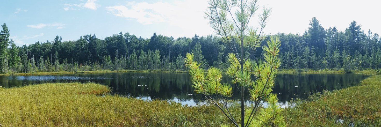 Jonathan Lovell banner