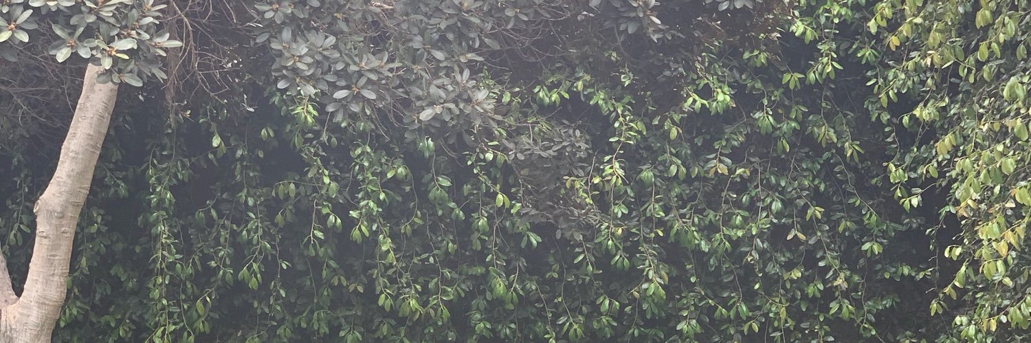 Couns3l RareThing (rKng) banner