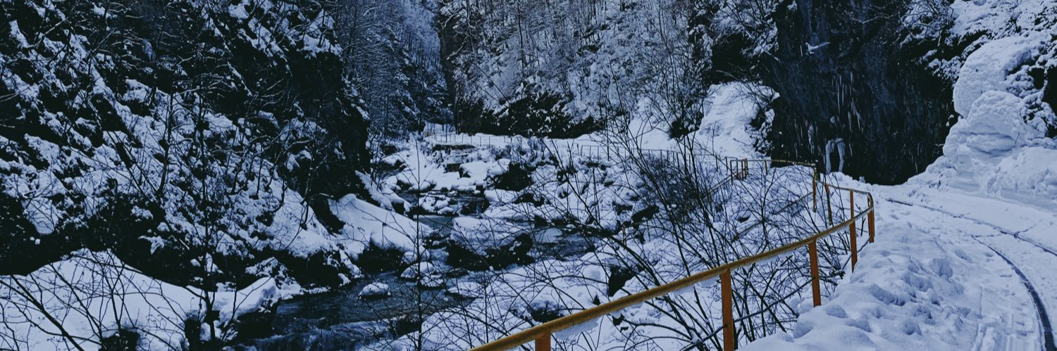 schwarz_teppich's profile banner image