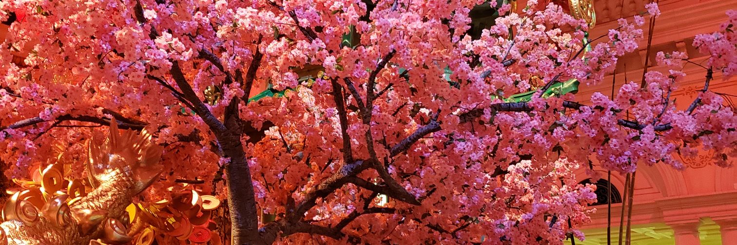 skelapuff's profile banner image