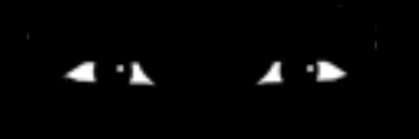 okayyywow's profile banner image