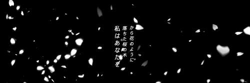 txchibooty's profile banner image