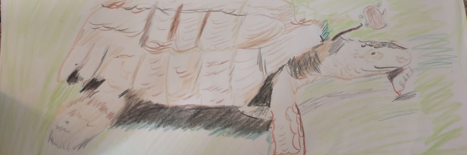 TBtroy11's profile banner image