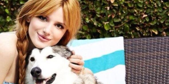 BellasQueen143's profile banner image