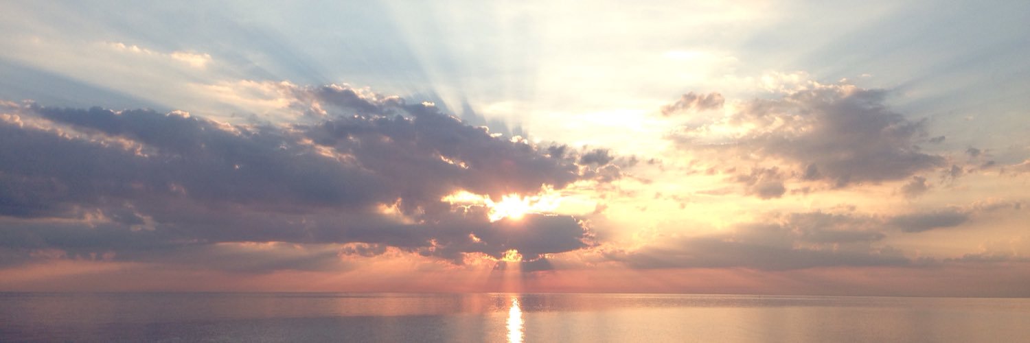 Renee Devereaux banner