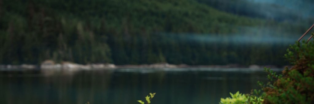 markkovac11's profile banner image