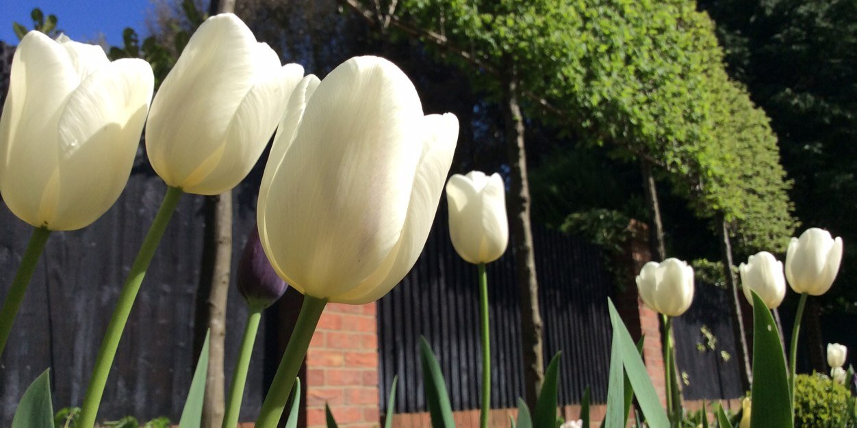 podgardendesign's profile banner image