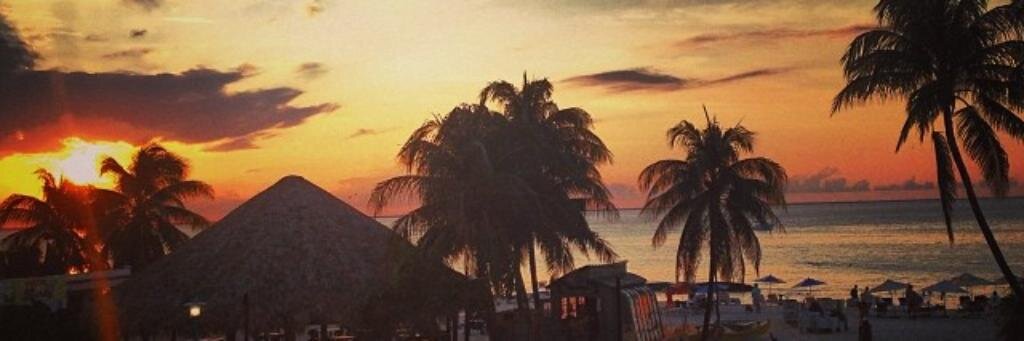jess_m_ford's profile banner image