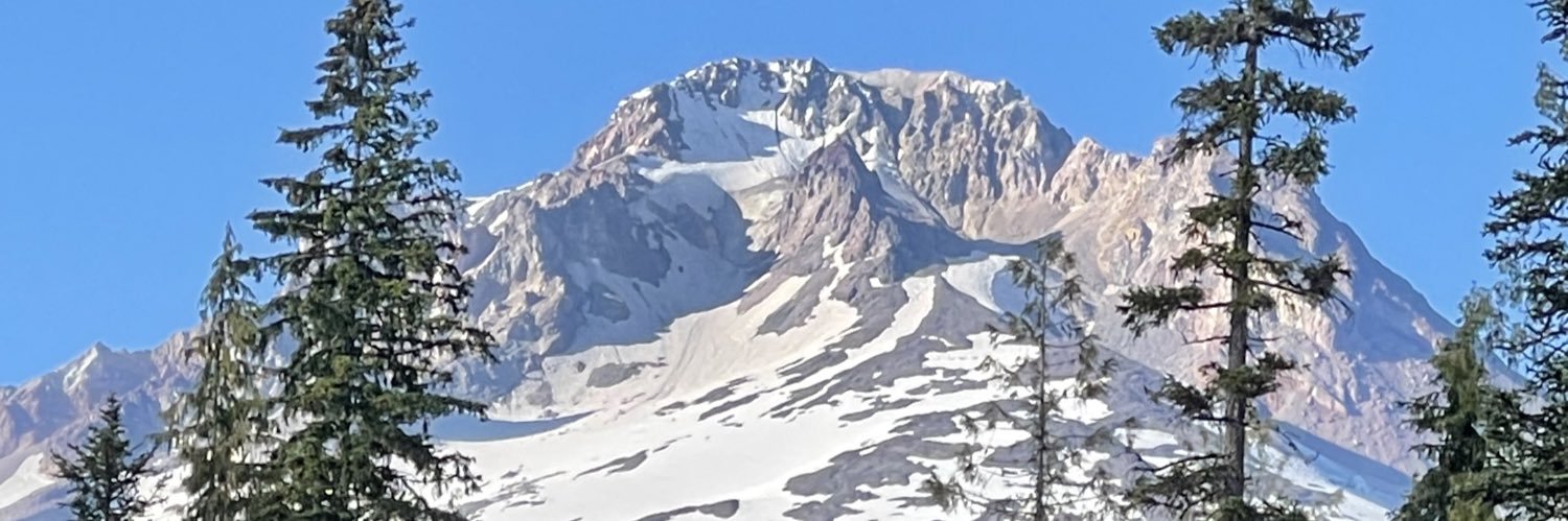 tazja14's profile banner image