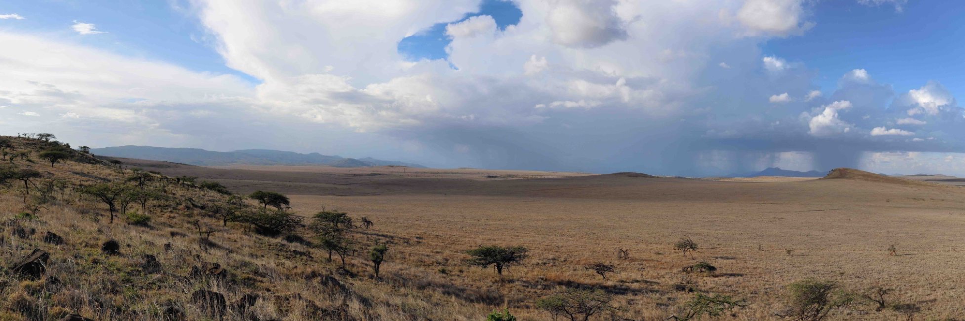 Dustin Rubenstein banner