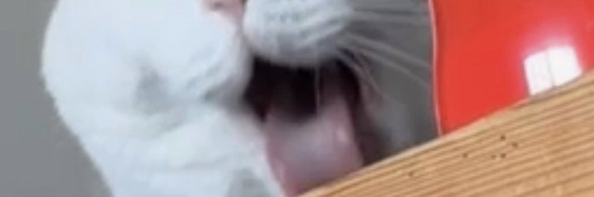 casharole's profile banner image