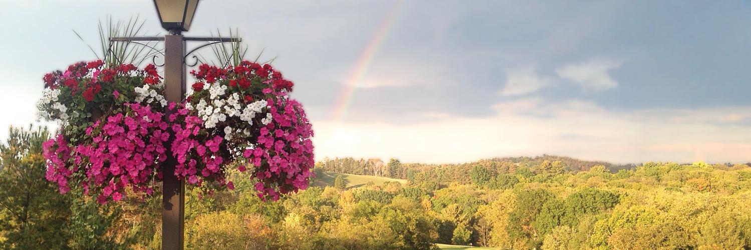 AAMSMTLI's profile banner image